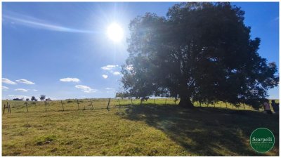 Campo con costa al arroyo Yaguarí