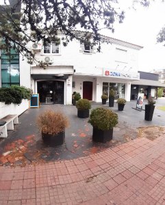 Local en Alquiler a mts. de Arocena Próximo Ancap y Hotel Casino Carrasco.-