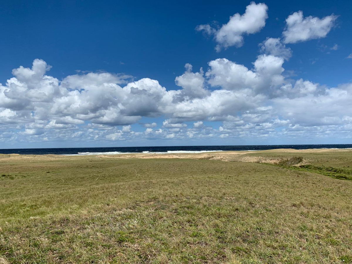 Pueblo Nuevo, Km. 244 Ruta 10  Muy Próximo a Cabo Polonio. Con el Mejor Océano del Uruguay frente a Ud. !