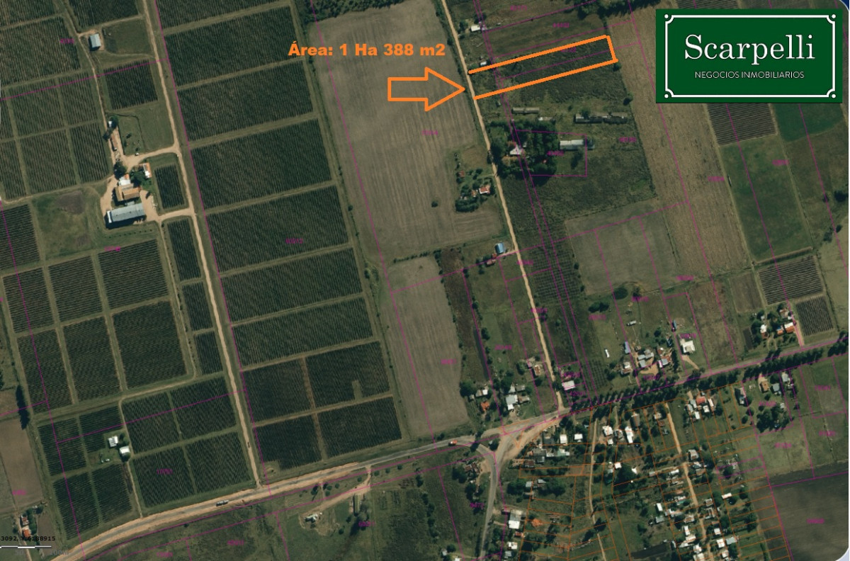 VENTA TERRENO DEPARTAMENTO de CANELONES 1 HÁ  388 m2       EMPALME RUTAS Ruta 81 con Ruta 62 .-