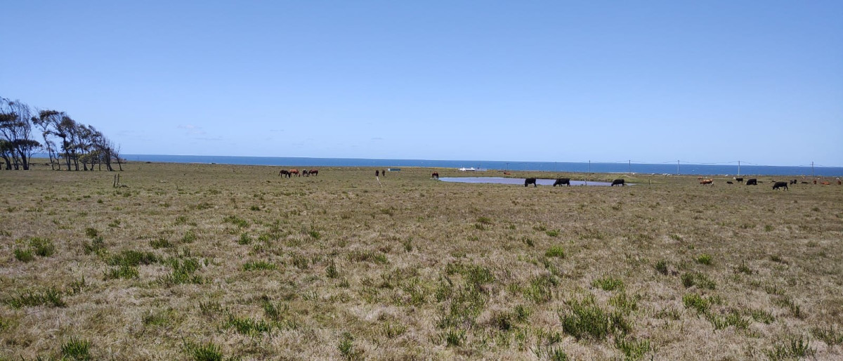 VENTA DE 22 SOLARES EN PUEBLO NUEVO PRÓXIMO CABO POLONIO FRENTE AL OCÉANO ROCHENSE