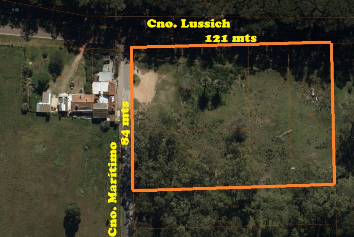 Importante Terreno sobre Cno. Lussich esq. Cno al Viejo Hospital  P. 45 Mansa