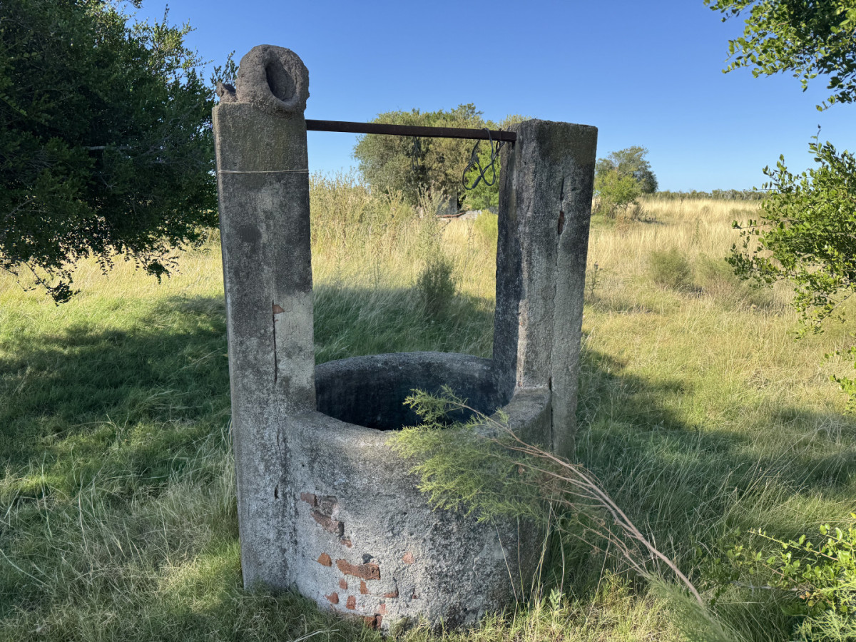 Chacra de 5,5 hectáreas con agua en Cufré - Departamento de Colonia