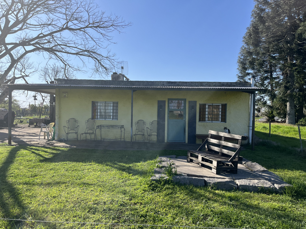 Chacra en venta en la entrada de Carmelo, pegada a importantes viveros de la zona.