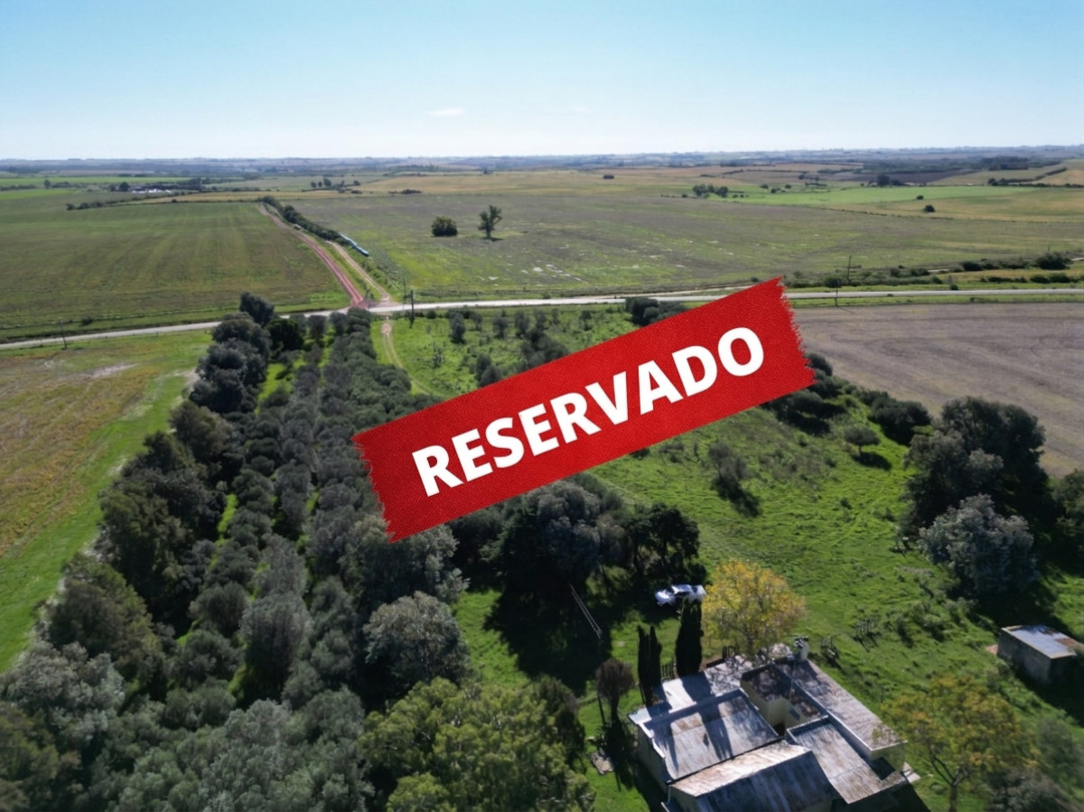 Chacra ideal para vivir y disfrutar de la naturaleza con casa, olivos y 5 has en venta, Carmelo.
