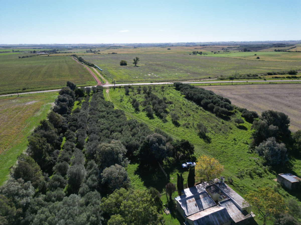 Chacra ideal para vivir y disfrutar de la naturaleza con casa, olivos y 5 has en venta, Carmelo.