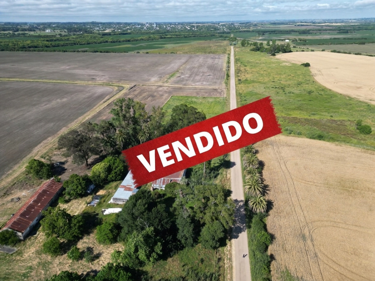 Chacra de 1,5 ha con Casa a Reciclar y Fábrica en Excelente Punto - Nueva Helvecia