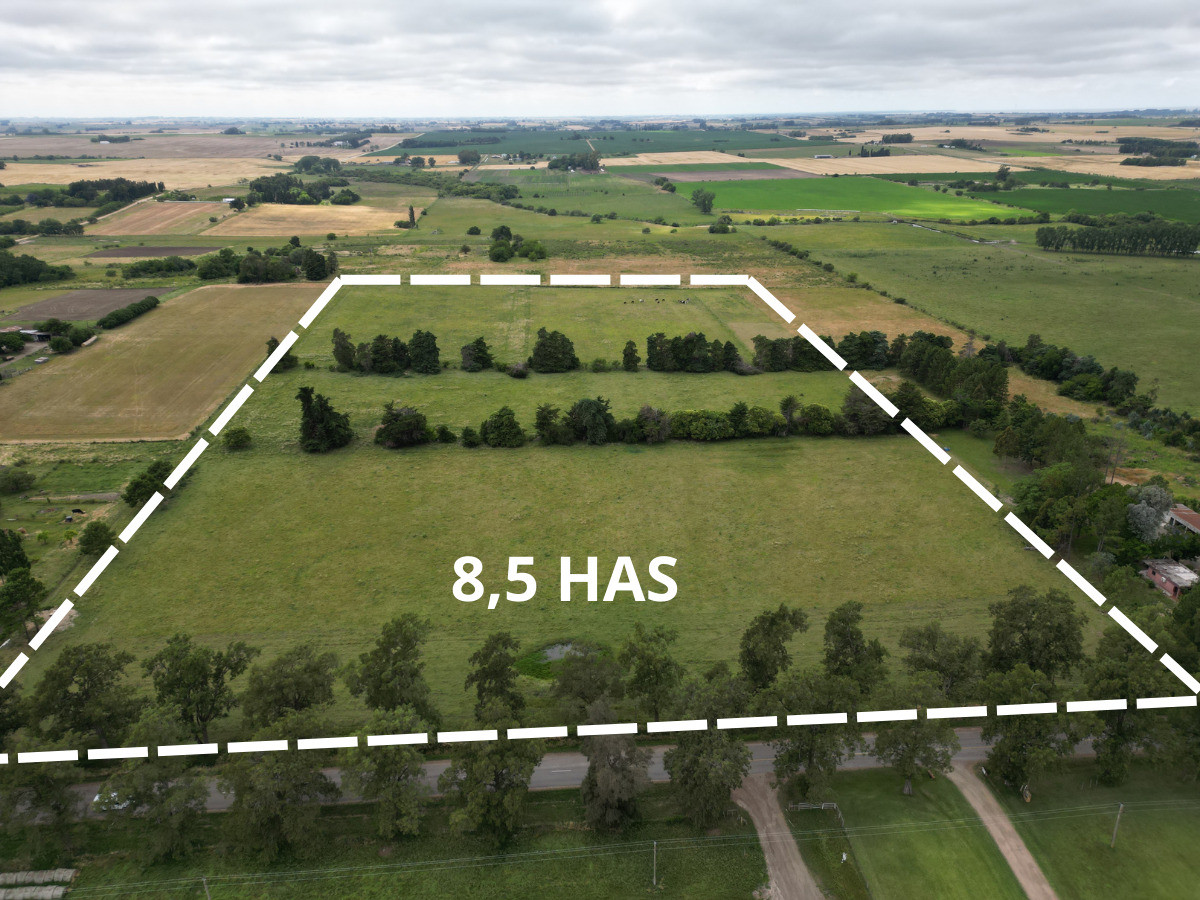 Chacra de 8,5 has sobre Ruta 51 - Camino a Playa Fomento, Excelente Punto