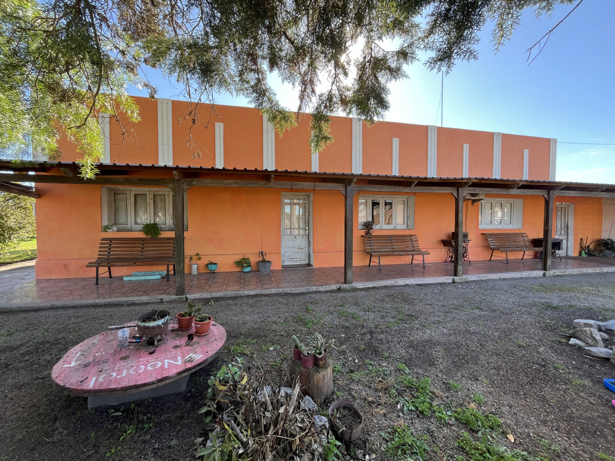 Excelente chacra en venta con 3 casas ubicada a 5 km de Carmelo.