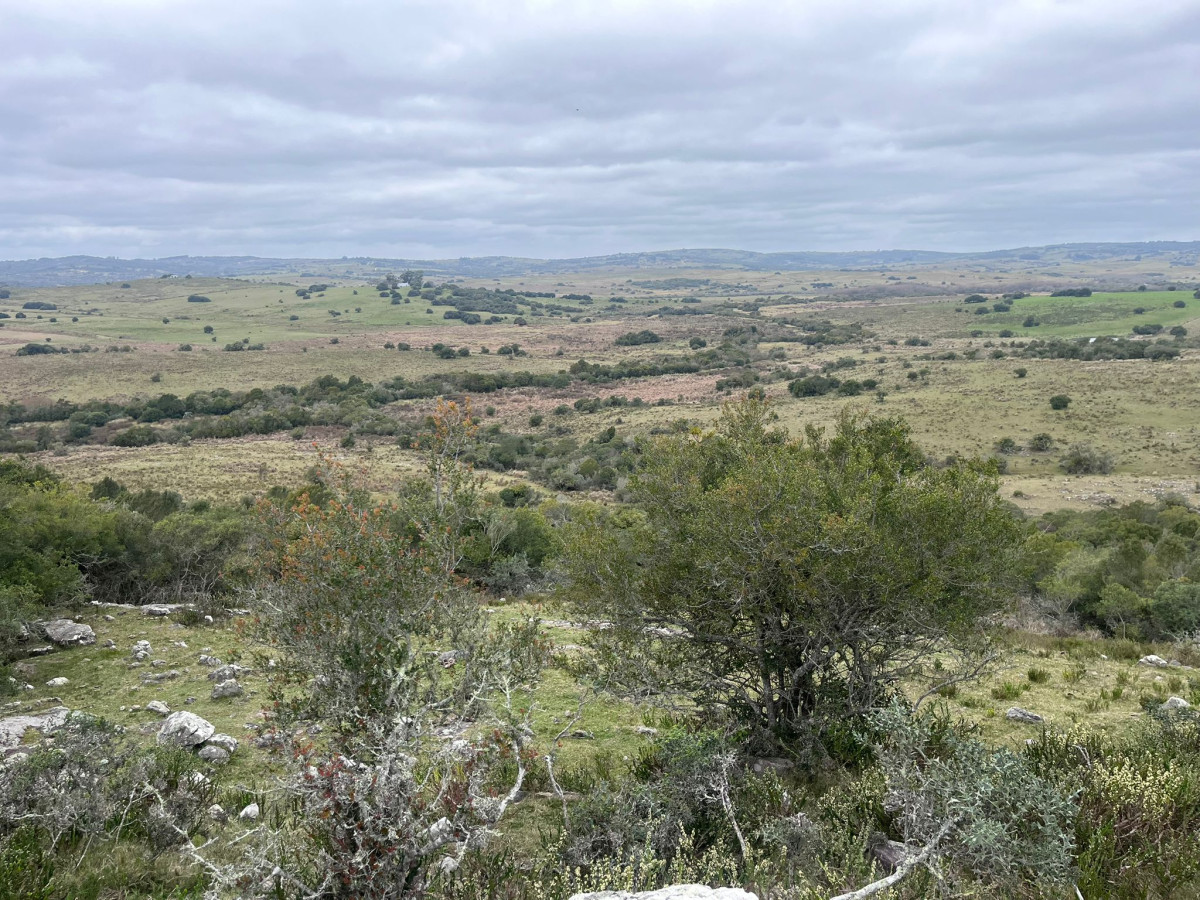 Gran oportunidad chacra en venta en sierras de Garzón.