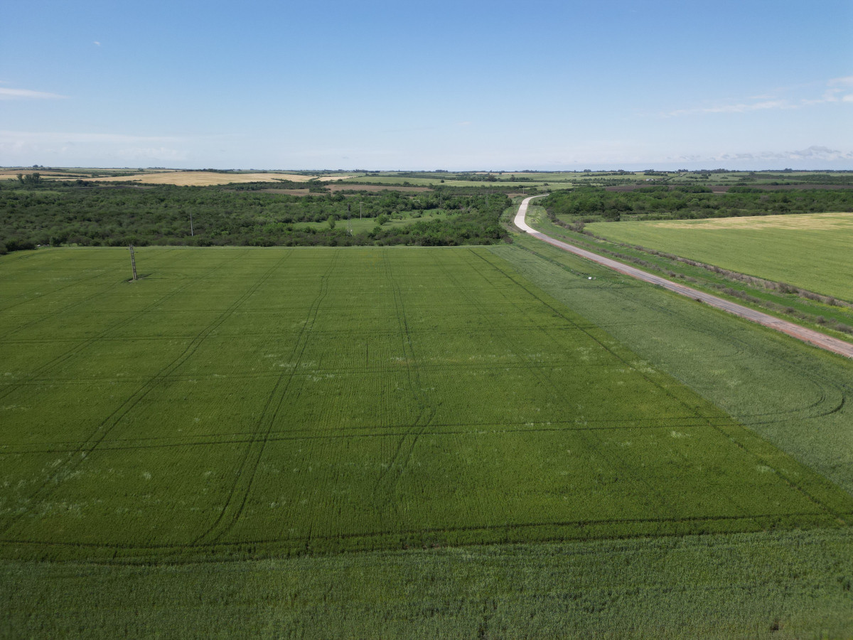 Excelente Chacra de 15 hás  en venta a 10 km de Carmelo.