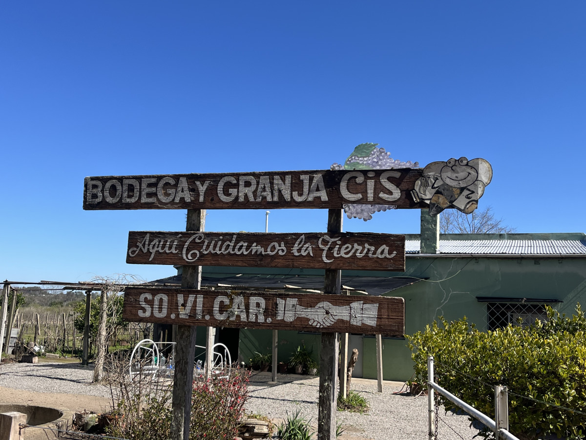 Excelente oportunidad antigua Bodega y viñedos en venta en Carmelo.