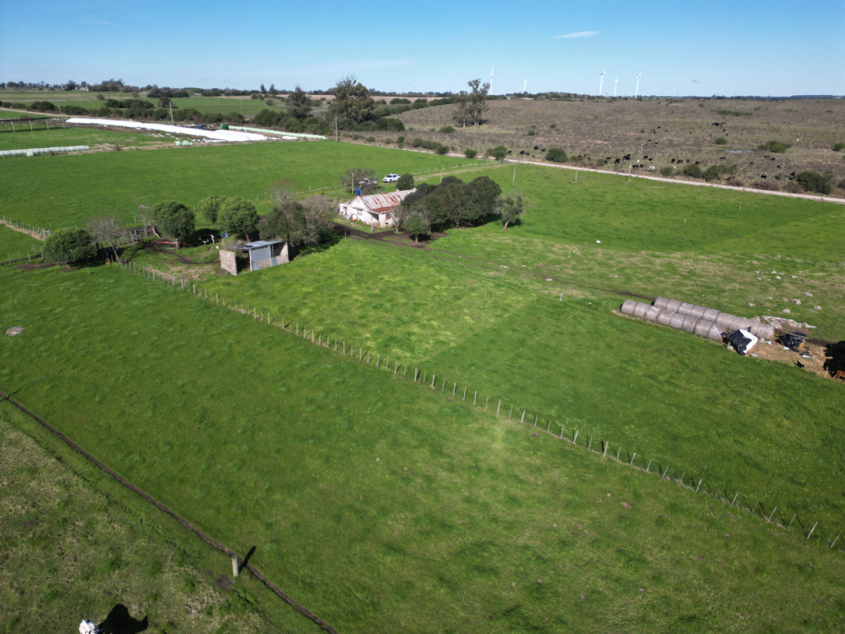 Chacra de 5,2 hectáreas en venta próxima a Rosario - Colonia