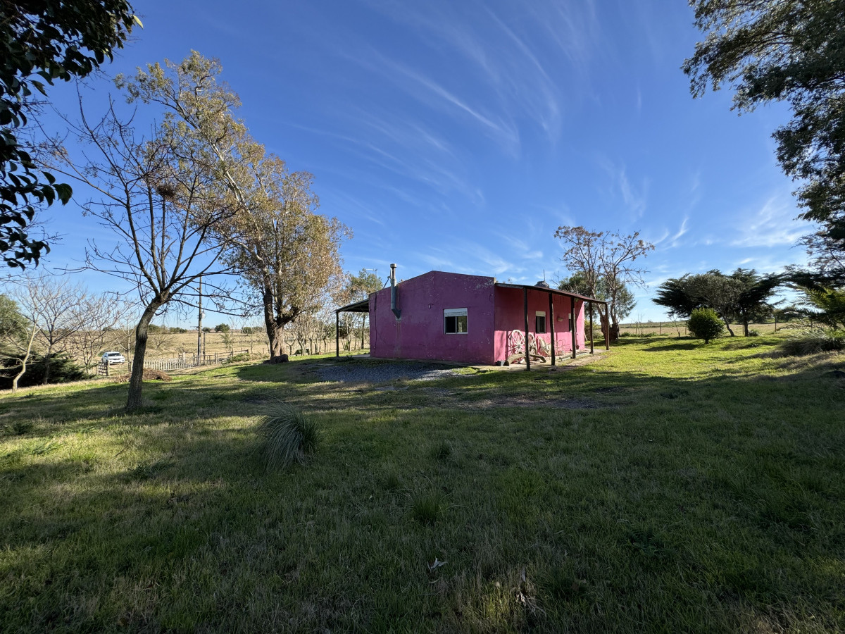 Oportunidad Chacra 30 Has en Soriano con Casa, Galpón y Mejoras