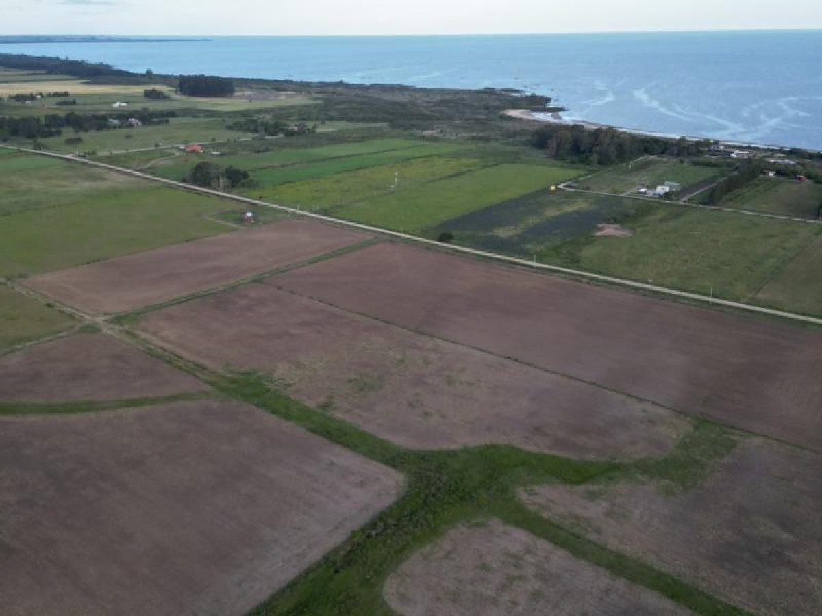 Chacra de 5 hás con vista al río en venta en Matamora.