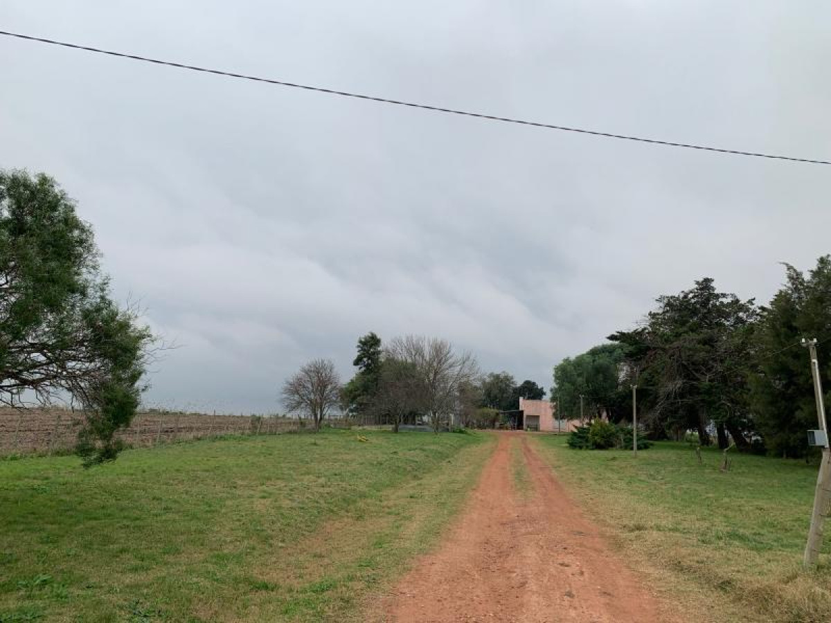 Chacra a la venta excelente suelos, con mejoras y renta fija de antena.