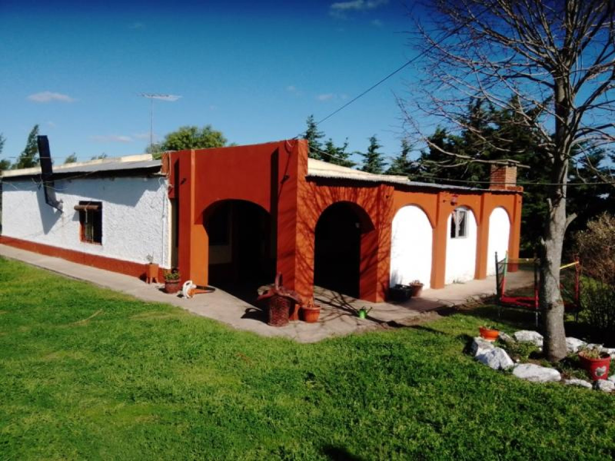 Chacra en venta a 2 Km de Carmelo, increíble ubicación.