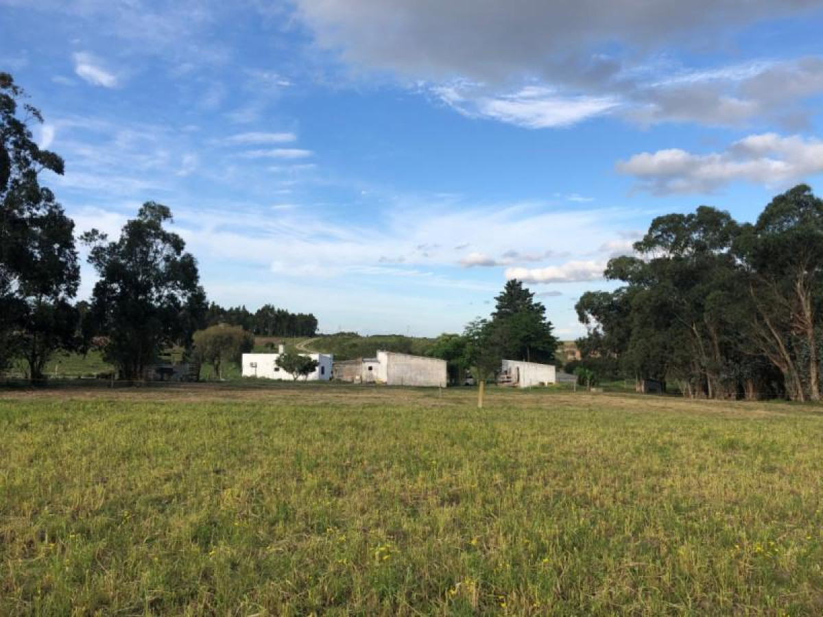 Chacra de 7.3 hás en venta con 2 casas independientes y cantera.