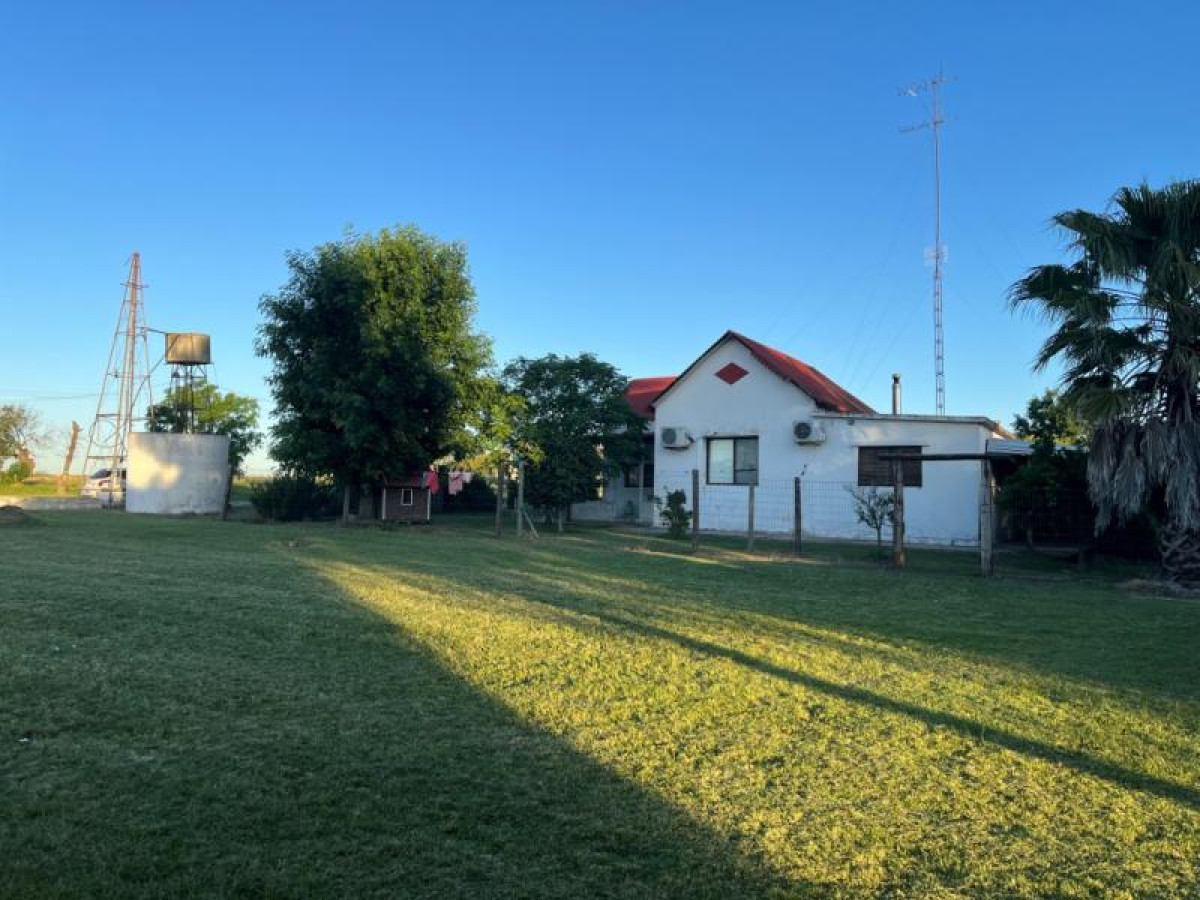 Excepcional chacra en venta en una de las mejores zonas de Nueva Helvecia.