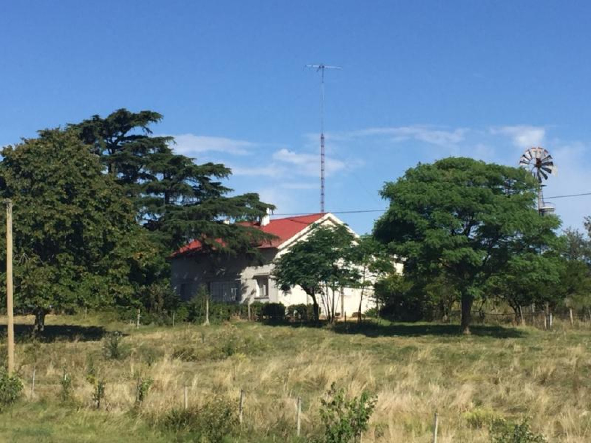 Excelente chacra de 11 hás con antigua casona en venta sobre ruta 1.