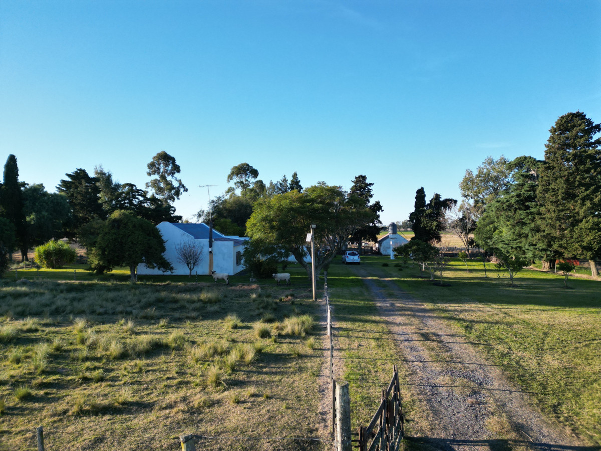 Excepcional ubicación en ruta 1 y campo productivo donde nadie vende.