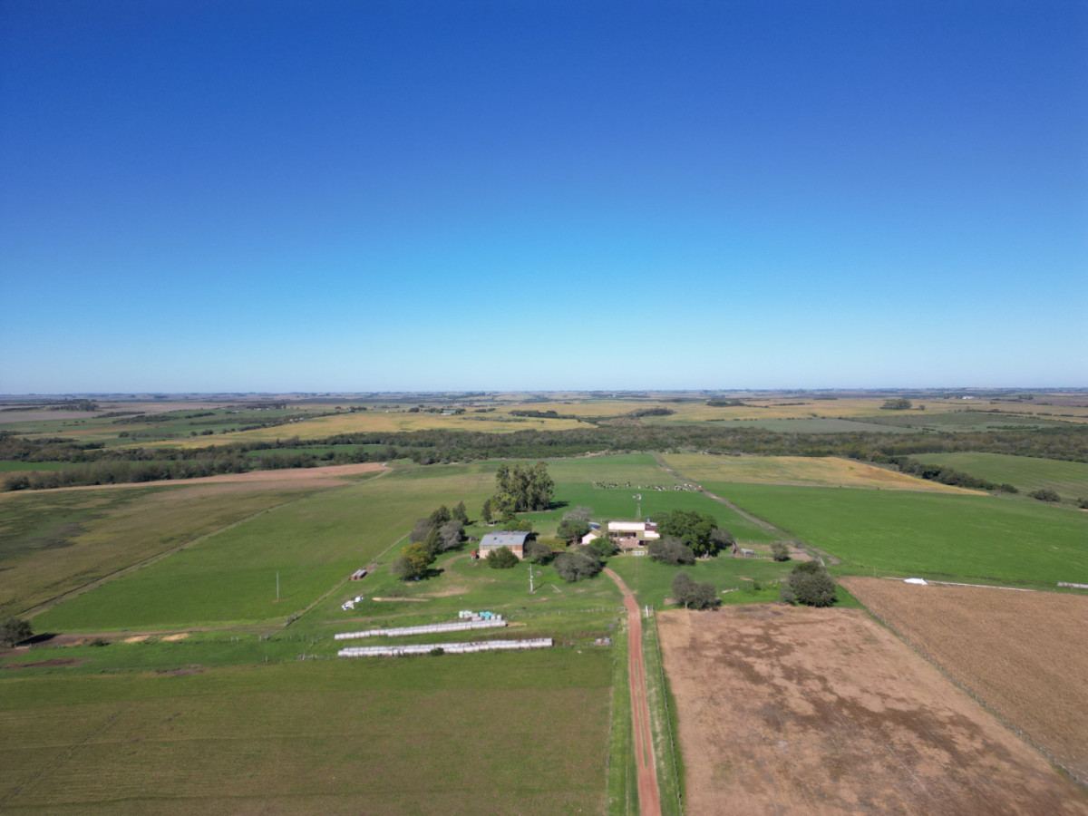 Campo agrícola en venta en zona de Víboras, Colonia.