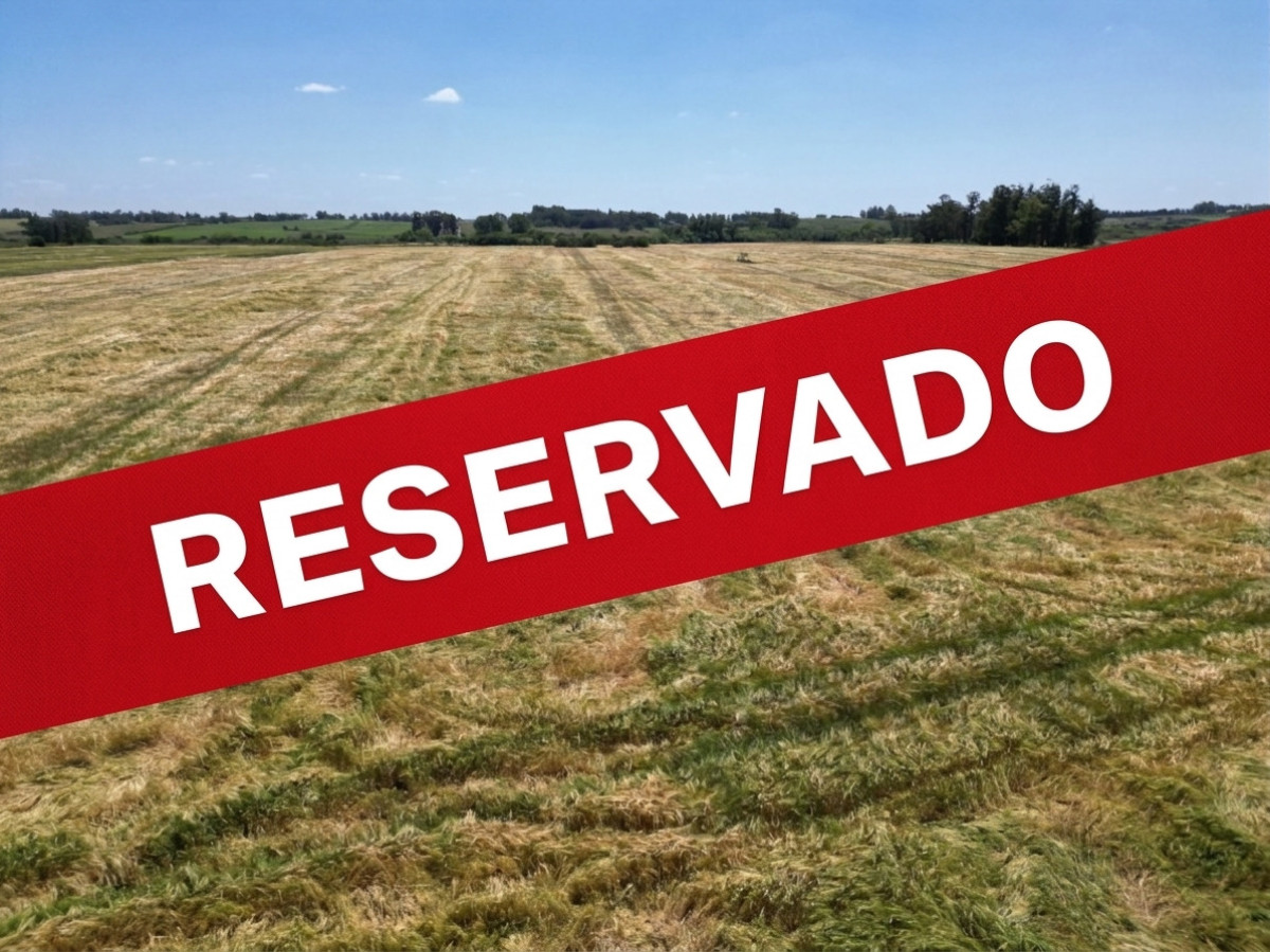 Oportunidad de inversión, campo agrícola en venta en Canelones.