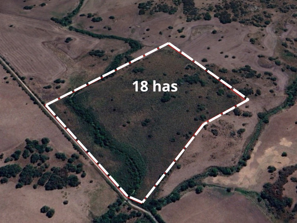 Campo de 18 hectáreas descansado con aguadas naturales y suelo fértil 5.02b