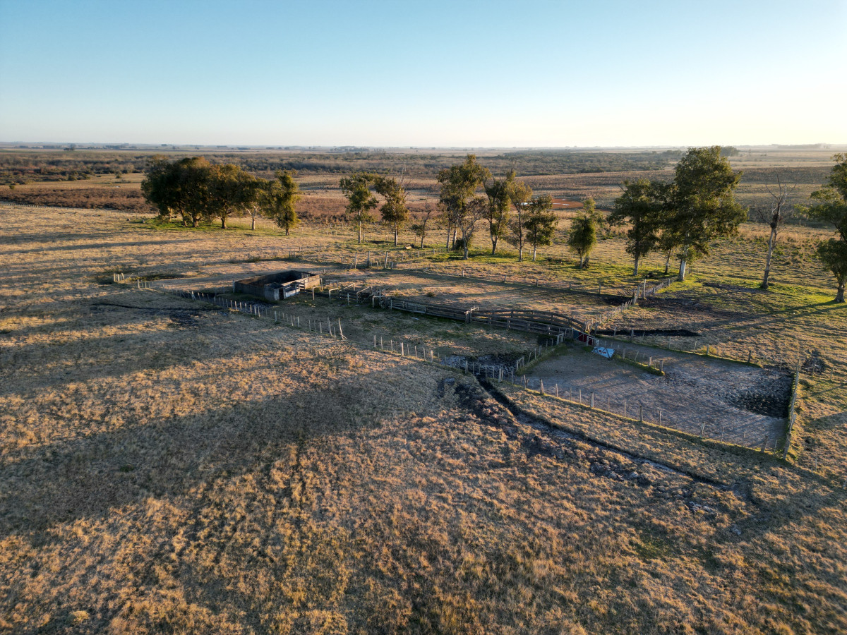 Establecimiento de 760 hás en venta en Cerro Largo.