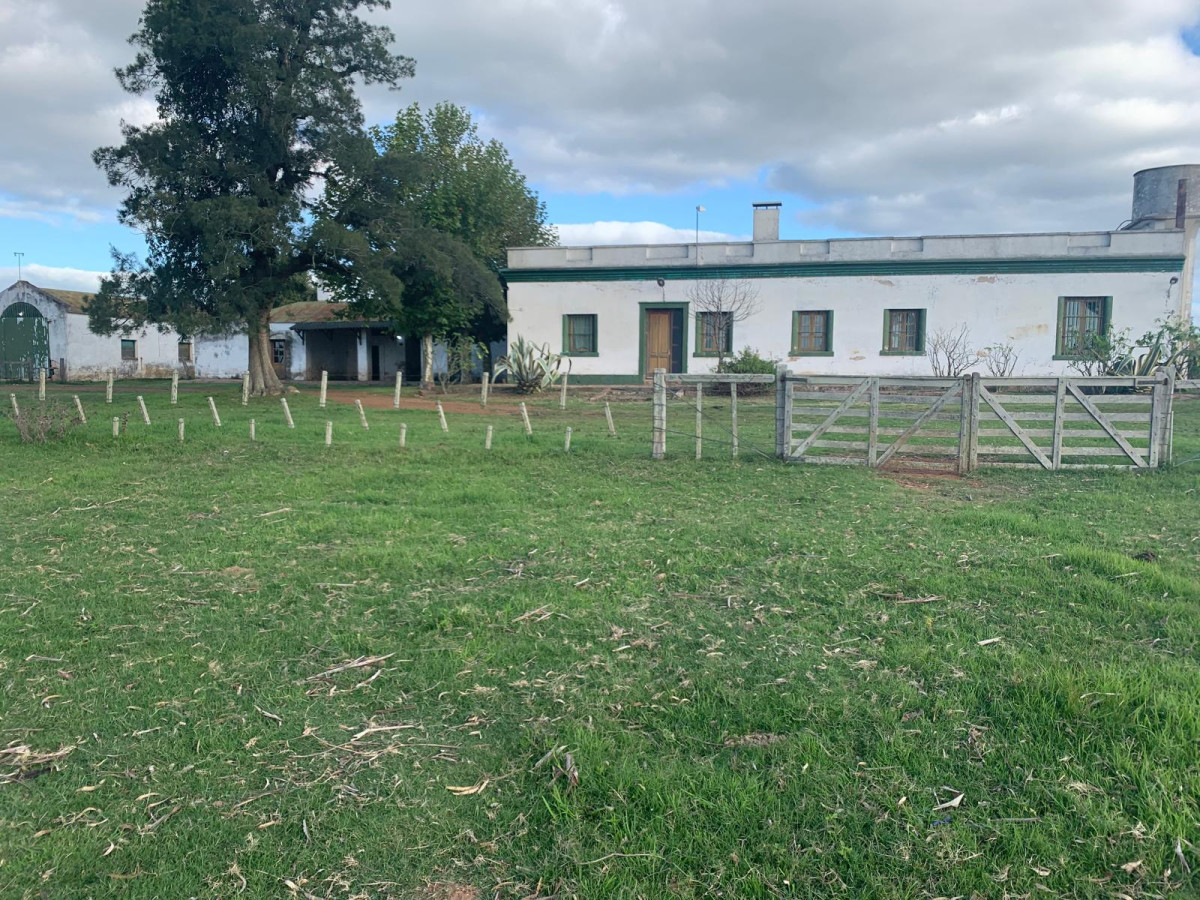 Estancia La Querida, Cerro Largo, 1.675 has en venta.