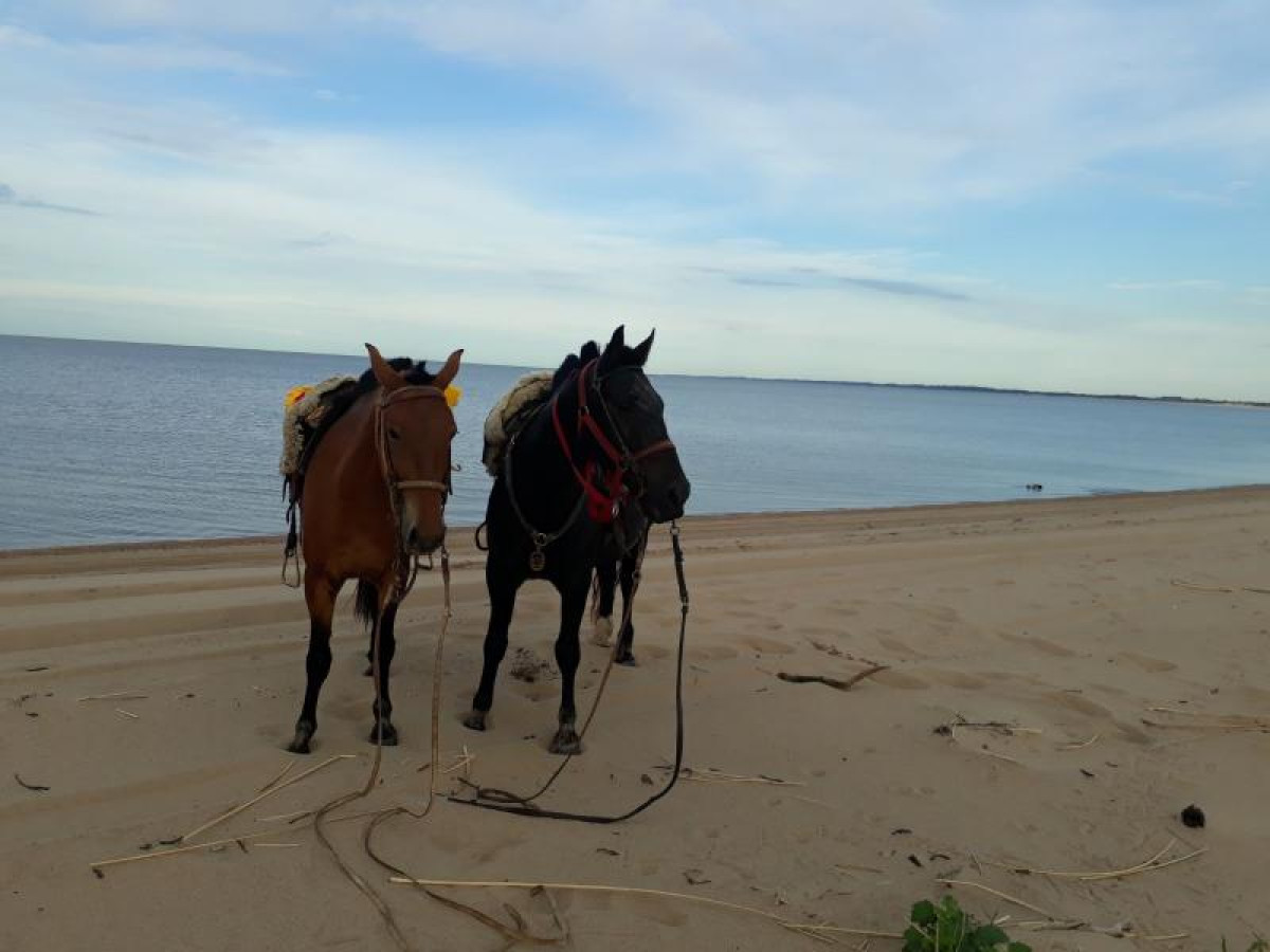 1.000 metros de costa al río de la Plata con increíbles playas en venta.