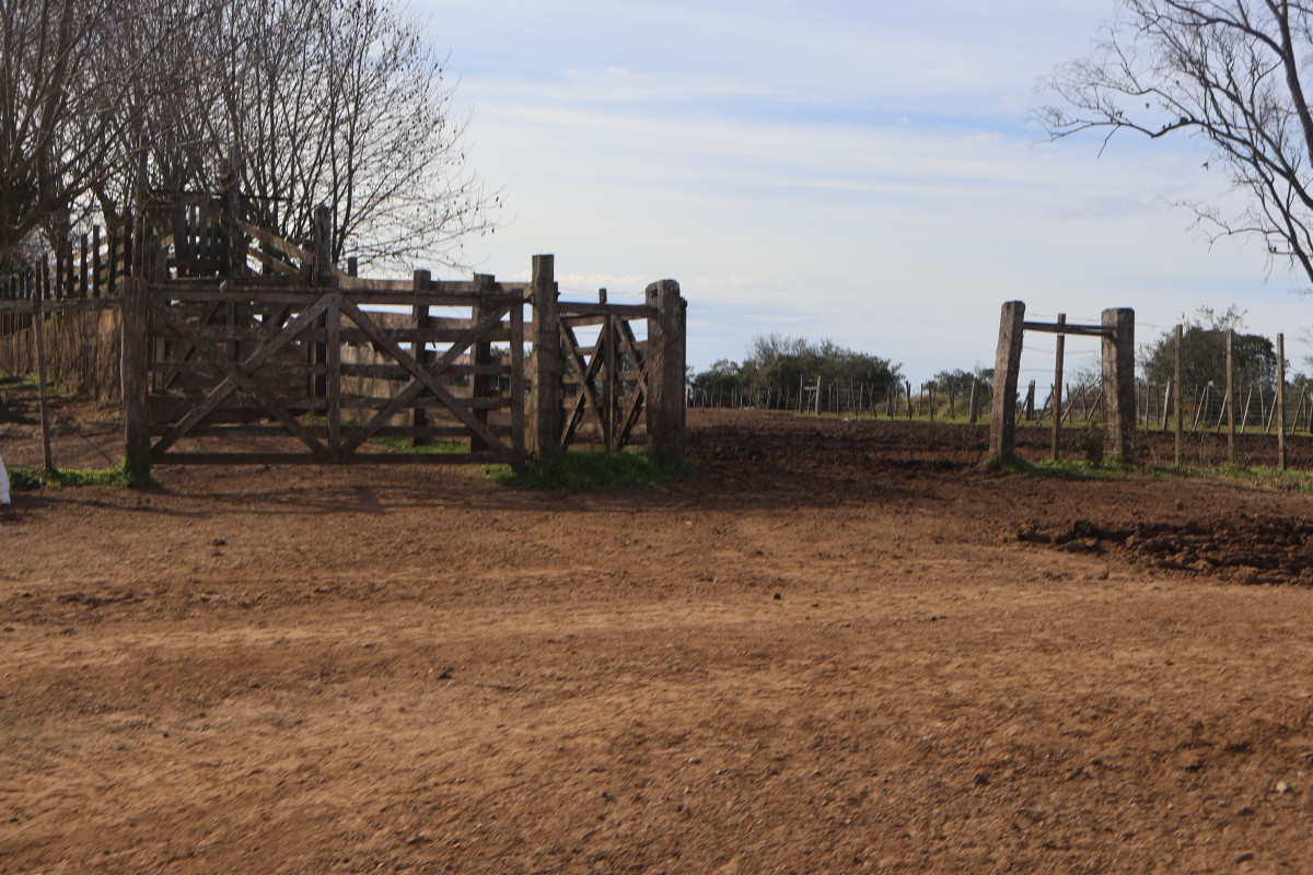 Estancia El Parao 811 has, en venta en Treinta y Tres.