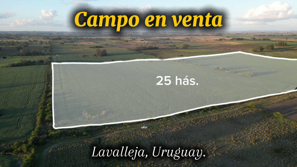 Oportunidad de inversión, campo agrícola en venta en Lavalleja.