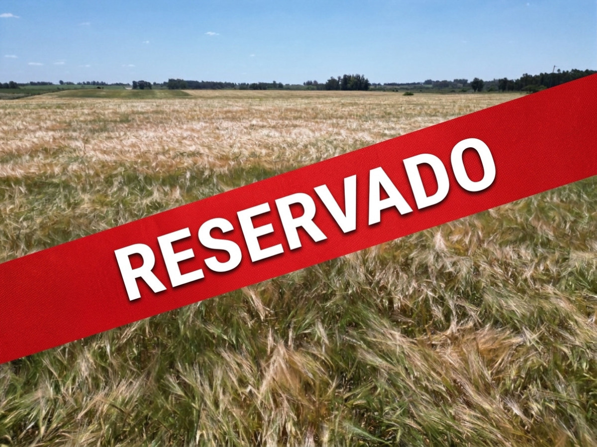 Oportunidad de inversión, campo agrícola-ganadero en venta en Soriano.