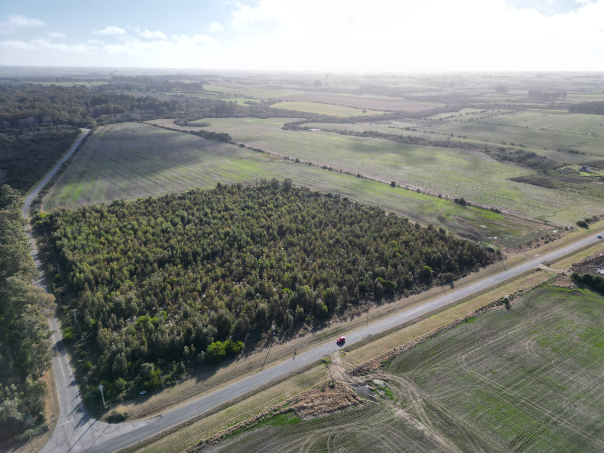 Campo agrícola de 23.8 has próximo a balneario Artilleros.