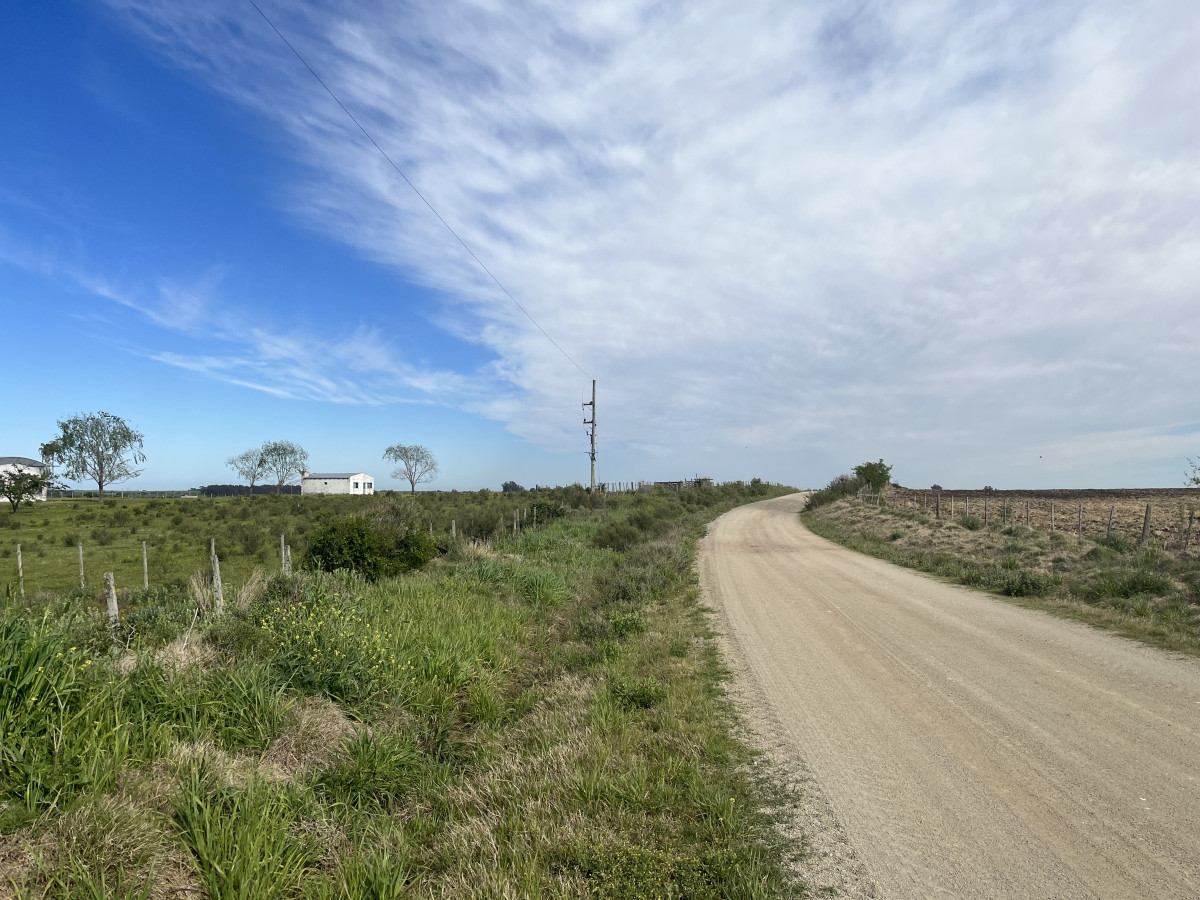 Campo agrícola - ganadero de 93 hás en venta con instalaciones y mejoras.
