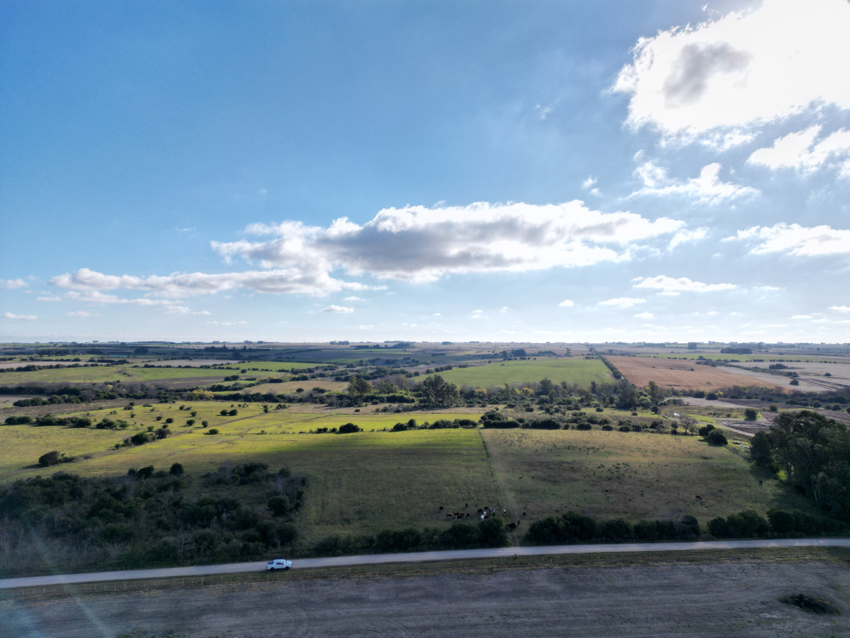 Campo agrícola ganadero de 20,95 has en Miguelete de Campana.