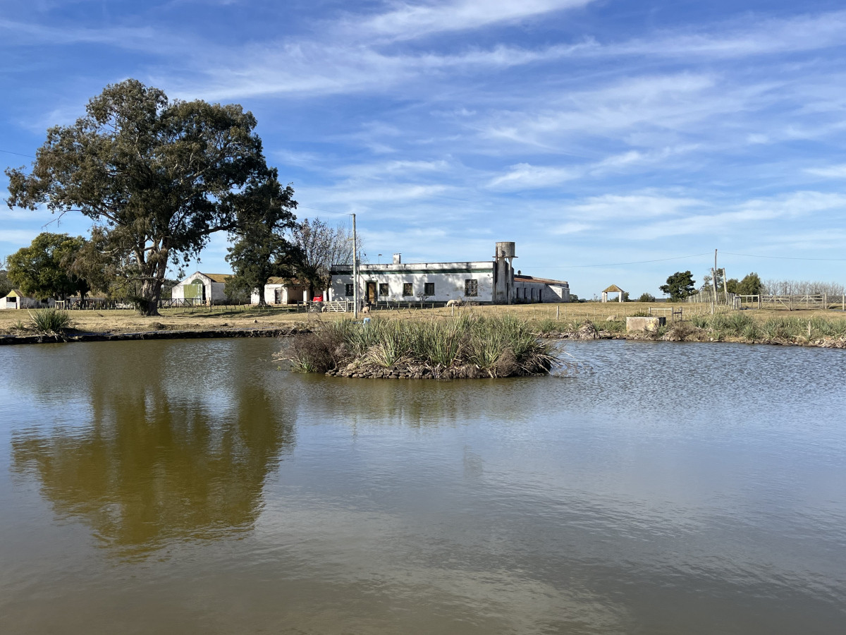 Estancia ganadera completa en venta de 2.956 has en Cerro Largo.
