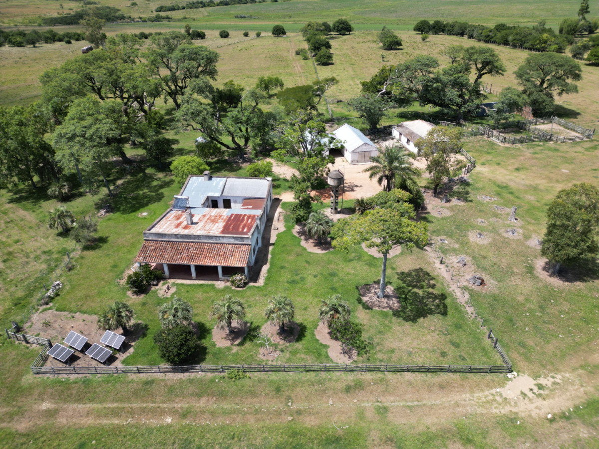 Estancia de 945 has en venta en Cerro Largo.