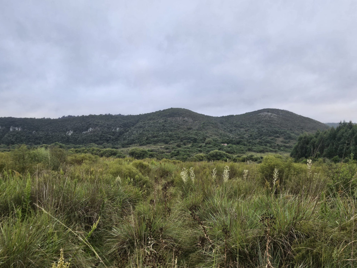 Oportunidad buen campo ganadero en venta con excelentes vistas.