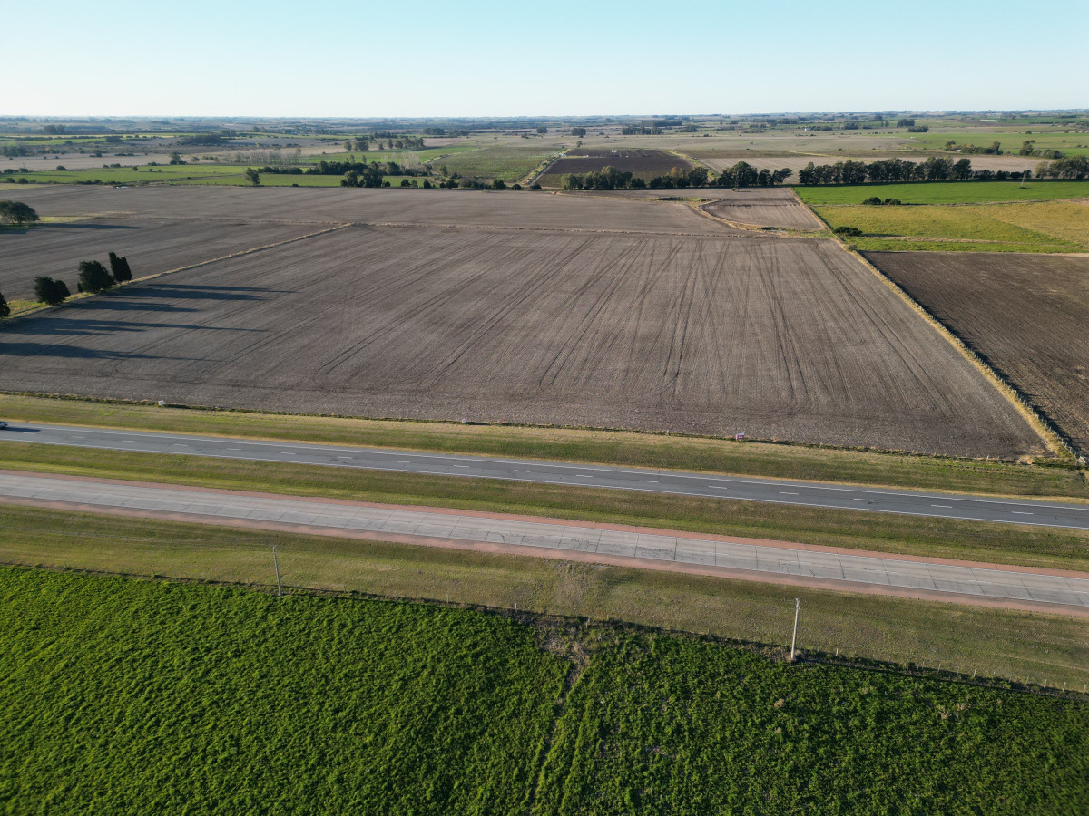 Excelente campo agrícola en venta en ruta 1, San José.