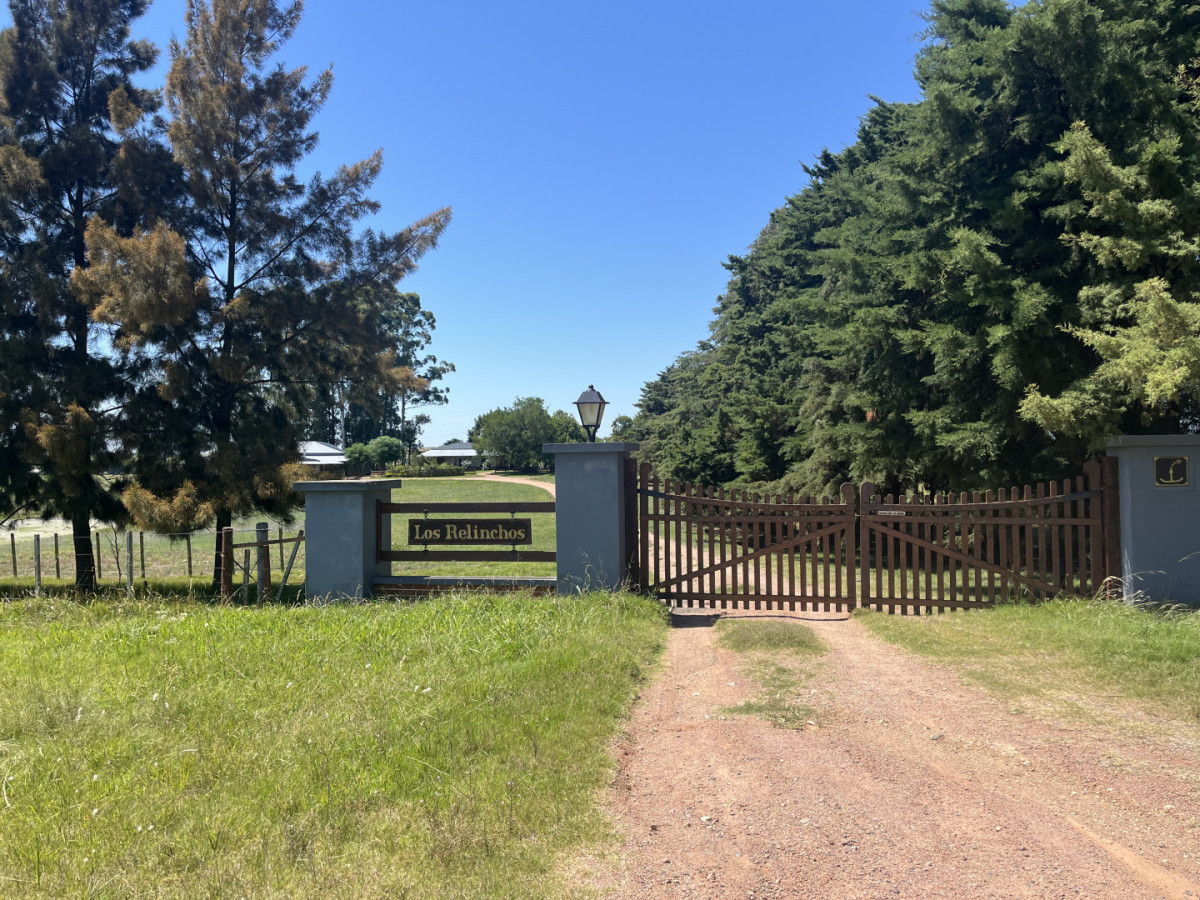 Muy buen establecimiento completo en venta en ruta 26 proximo a Melo.