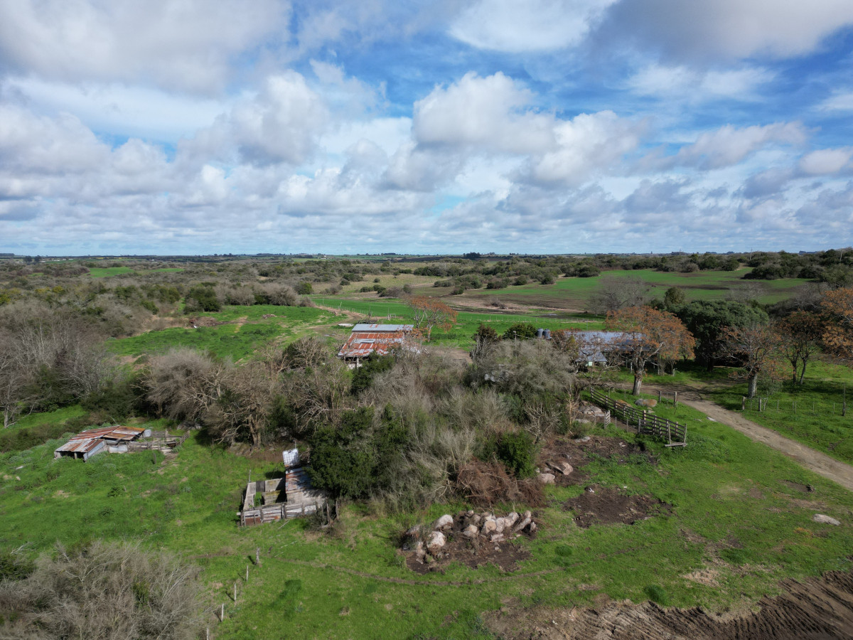 Buen campo ganadero en venta ideal para engorde.