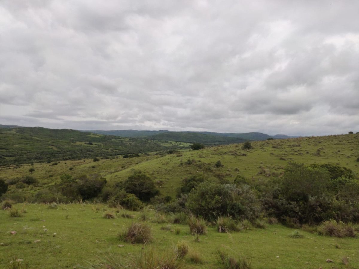 39 has en venta con costa de arroyo en sierras de Garzón
