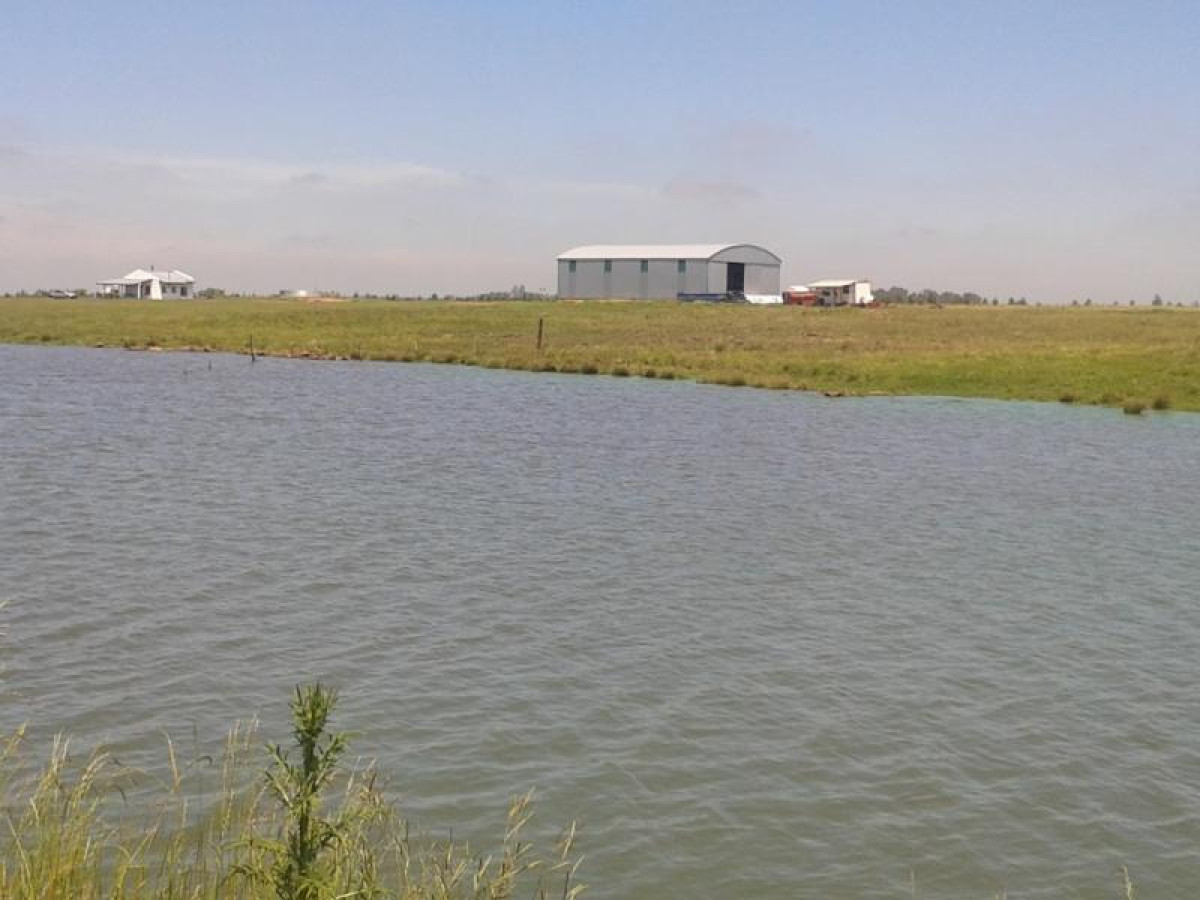 Campo agrícola en venta de 550 hás, Tacuarembó.