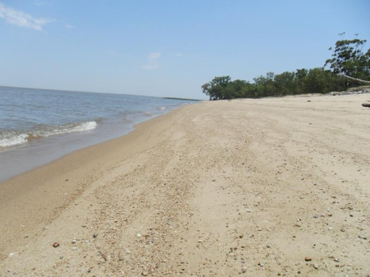 500 metros de costa al río de la Plata, en venta, campo Turístico-Forestal de 72 hás.
