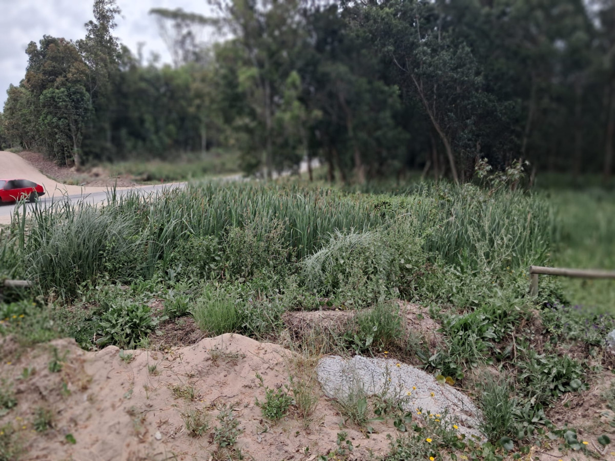 Gran terreno en esquina en Camino del Cerro Eguzquiza, El Tesoro.