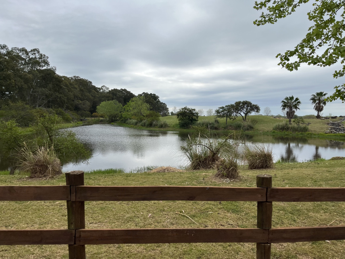 Oportunidad lote en venta en el Club de Golf Carmelo.