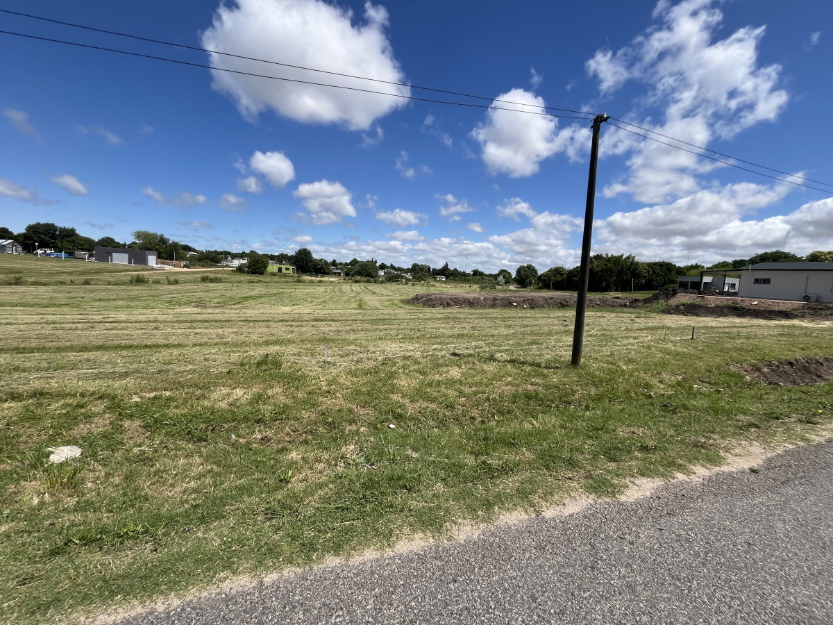 Terreno de 706 m2 en venta en Fraccionamiento Las Rosas.