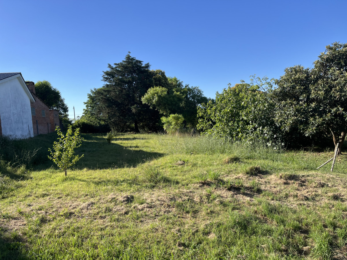 Terreno 520 m² a 1/2 cuadra de Av. Batlle y Ordóñez - Nueva Helvecia